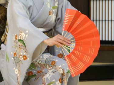 【ONLINE観光】芸者さんとオンライン飲み会ができる「Meet Geisha」を体験した時の話